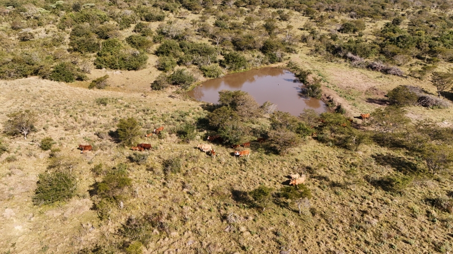 Commercial Property for Sale in Kei Road Eastern Cape